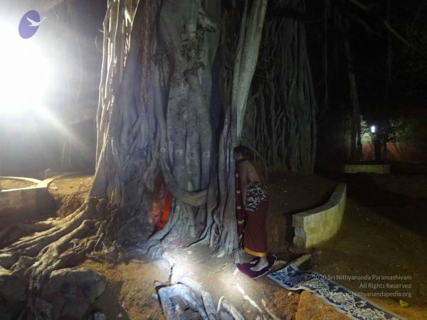 20140527 Photo 1007 1NbXYblkXutmb5CIV9qmL3Ruzwi5uA33-.JPG