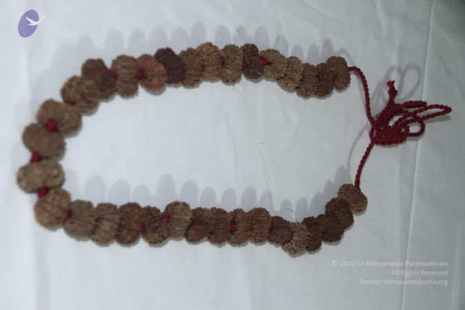 20140530 Photo 1041 1az2q0xCi3UH-wNBsCO53vDJmv0d kvVs.JPG