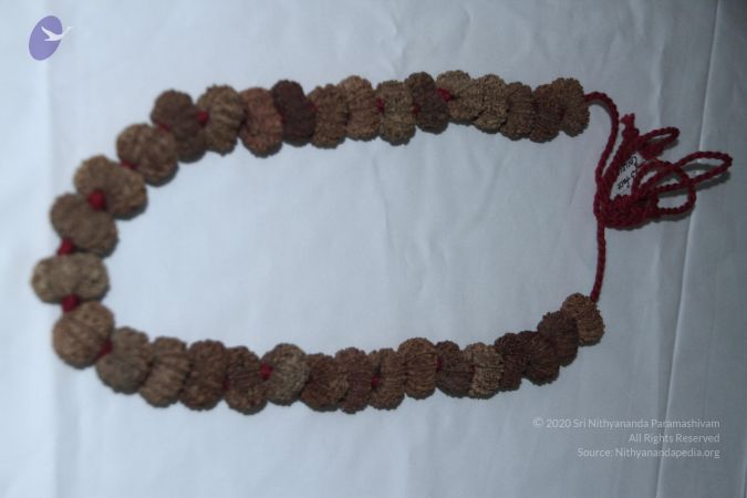 20140530 Photo 1042 1F4EEUBoUZ0GDKl3jiGQdO NcizV3CrpN.JPG