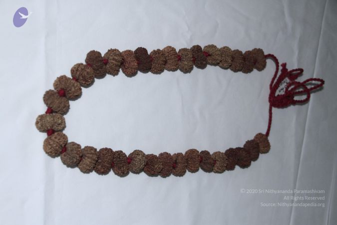 20140530 Photo 1043 1mDHQ5tHGWozWwpxce9kQaO6NYIulQNHl.JPG