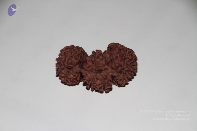 20140530 Photo 1059 1rmxhbMDuZPZnXBTy1QJaDfRDqSSGlaGn.JPG