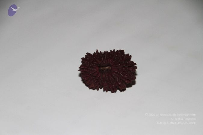 20140530 Photo 1060 1tRcCwS Hv3O63Dk7PLH27fWptkurKQiz.JPG