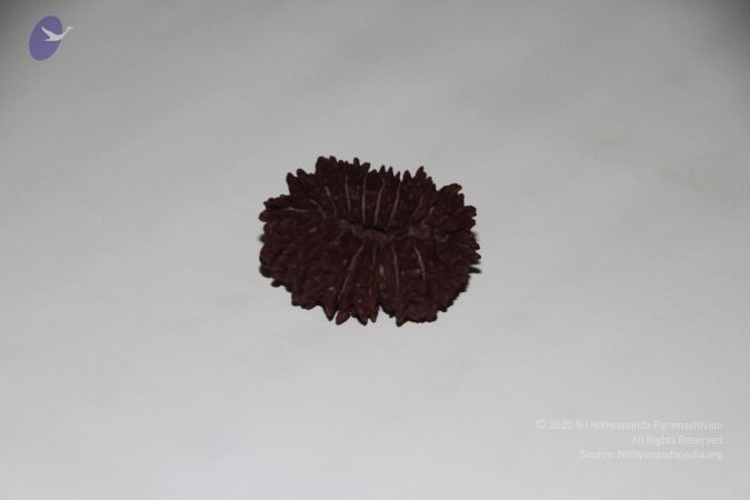 20140530 Photo 1061 1v2XTtGDBsnri3q5GYNMS7gSzDGKUFbEV.JPG