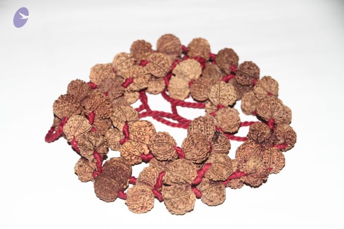 20140530 Photo 1068 1nx XpR-d-BWYM1hg-hFzMuXGJVPzbJdf.JPG