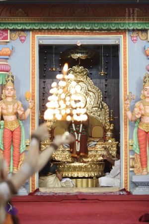 20140606 Photo 1052 1JCcHWT -5ZrmOj9pU 647kJaJN8NNXuB.JPG