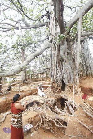 20140606 Photo 1176 1tyN7iJJ3muG2IJ5GNldZp-h7 -FgZ12e.JPG