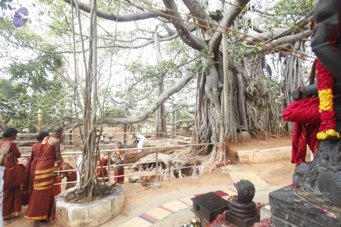 20140606 Photo 1179 1Xur8Zk Vd8htm8PnFBZWFSOf8r-sOaQs.JPG