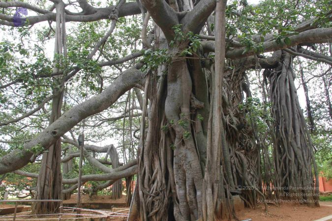 20140611 Photo 1080 1S VNH66hg2s8m56chzeHrKmXAQdkA tP.JPG