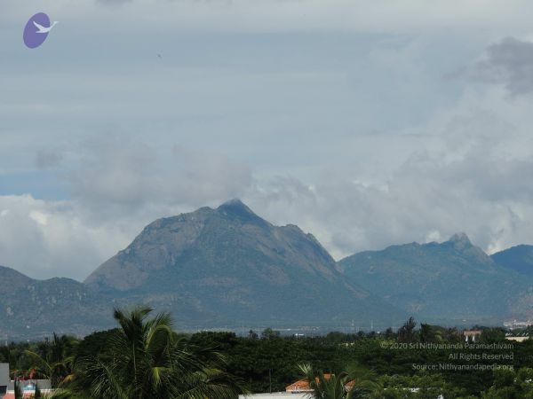 20140620 Photo 1328 1RgBrBrlQQ6f8IYe6FPph6SsQWan7AqI1.JPG