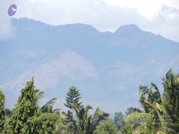 20140620 Photo 1329 1uwG-fdPFzMC-mNfdeQuXj9ZT3CJdJ23G.JPG