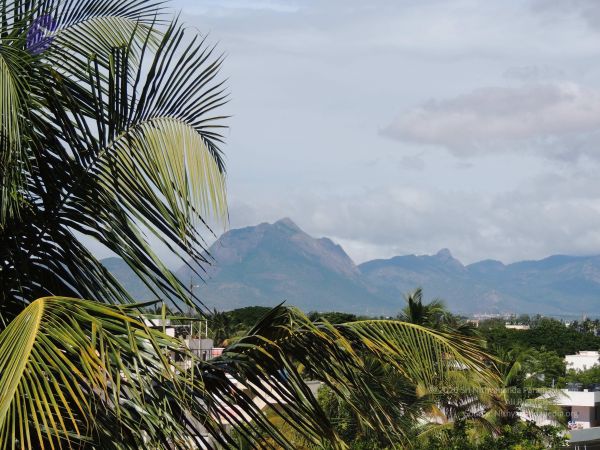 20140620 Photo 1330 1SuiS1uu7P6F-uf-6hjPH3GyJf5pJo7Tp.JPG