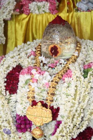 20140629 Photo 1333 1SII3oLHpy7dVHeB6vr0BuOHzZFc1aok-.JPG