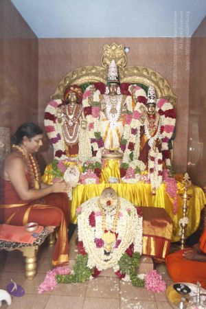 20140629 Photo 1726 1bqMNWKHGlkiKTaf b-MgmEFkINkyLhud.JPG