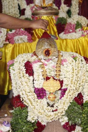 20140629 Photo 1754 1Tioxm5Ca Xp 9-AN7hj8AXeM019aZi4F.JPG