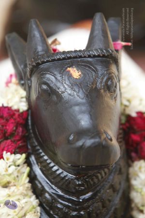 20140629 Photo 1769 1HGj4QD23izs1UIFMxFnX HwiOPPAX71D.JPG