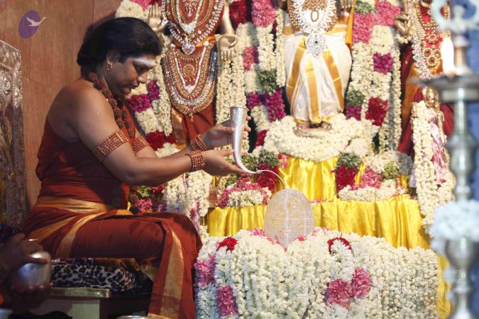 20140630 Photo 1130 1jC-TyyvnQXQscO66WqRIZBkBzVuYrwHG.JPG