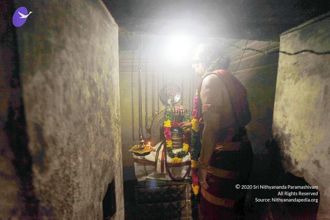 20140701 MG 8212 CMP WM00100.jpg