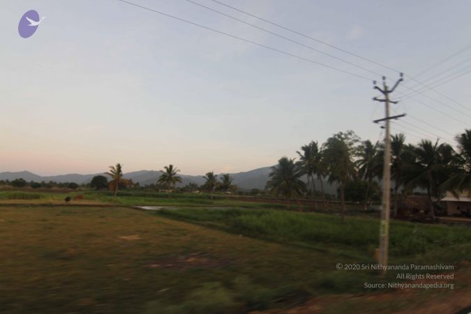 20140703 Photo 1000 15PZbju5hA8XuMU3BwpGob6x3 GONivno.JPG