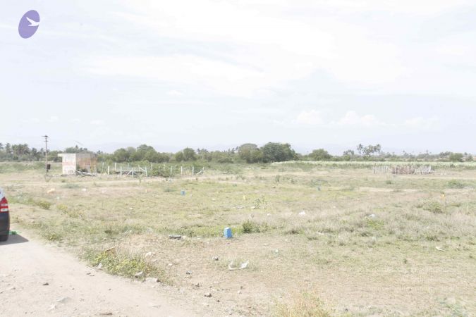 20140703 Photo 1230 13mmDewjsGSvxdm6FMuopMhEJ5BE7xZ1Q.JPG