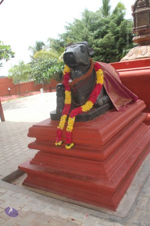 20140707 Photo 1053 1bLjoe1pQI4ld4cXGSghzWSx9AkzeByuU.JPG