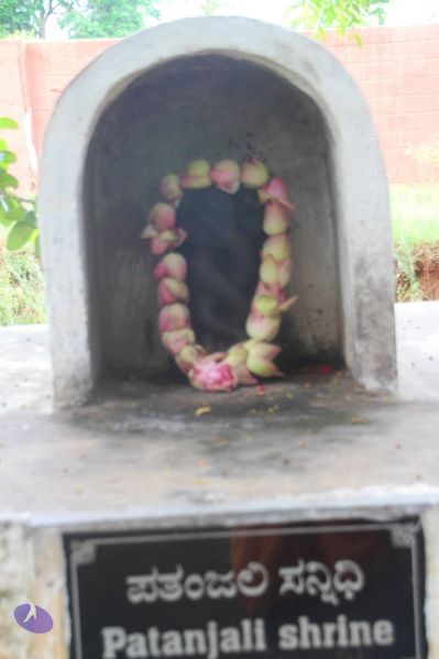 File:20140707 Photo 1055 10XJCE1Nqu8lnWsturl4HDlWccIbUJPCW.JPG