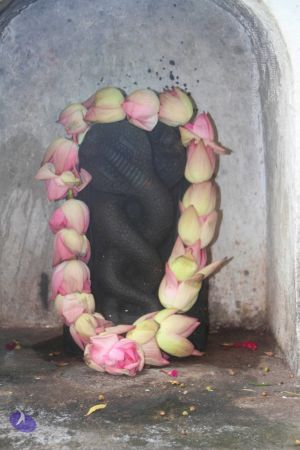 20140707 Photo 1056 1AmK ObWeK6Gi7NPvMTkz1HeDmKY5sVpx.JPG