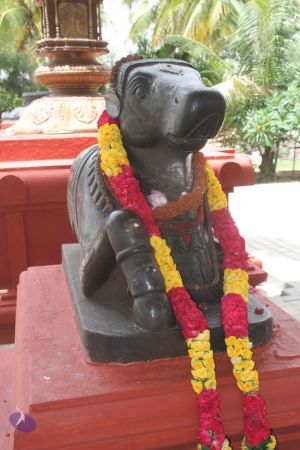 20140707 Photo 1062 1Xm2fYTn4x7j1H7T5rMCN43wl0FBeYmP-.JPG