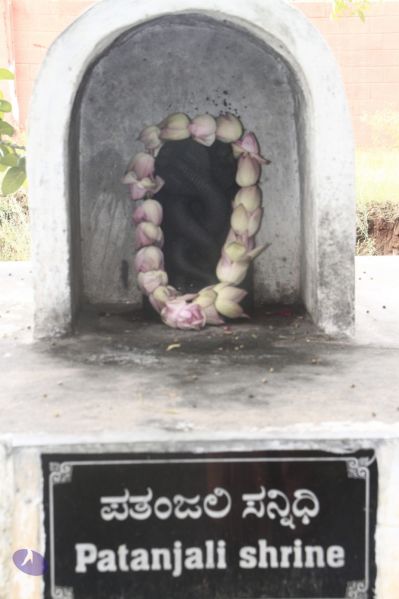 File:20140707 Photo 1075 1RSNk90dD9VdoNsqe2IvC6ryyOHdpKj A.JPG