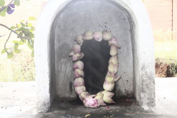 20140707 Photo 2020 1SqQKRyFriljGnScu0wmKJXHL wUXlY9S.JPG