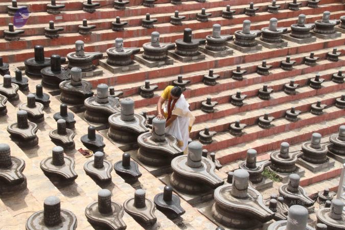 20140711 Photo 1048 1VX8hBT0tpLyCP4xmeZLaFXT6g8sOoTs2.JPG