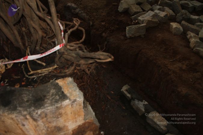 20140713 Photo 1004 1efb5PVhsFqi8aWzvuRxqDTls37J9sb48.JPG