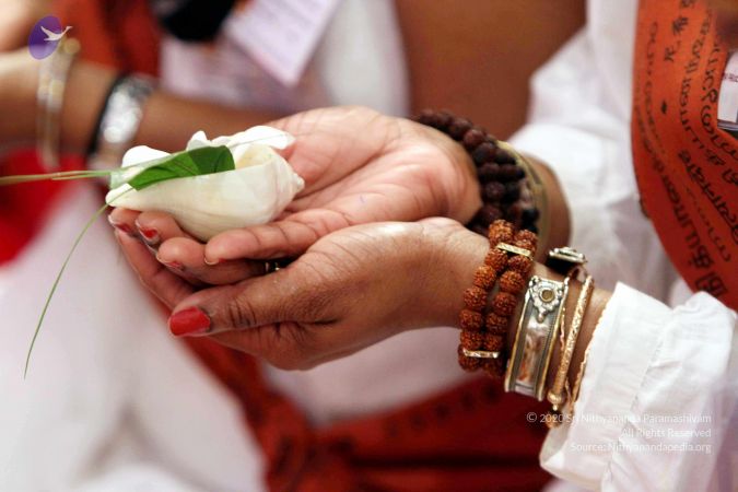 20140724IMG 6356 CMP WM01.jpg