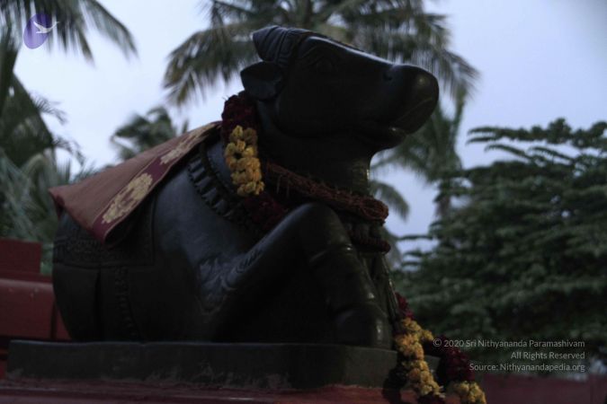 20140725 Photo 1018 1-1NRRMeAPtdrB2V4alfYE2QzSA-iARvc.JPG