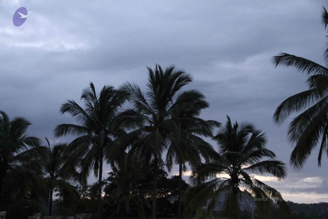 20140725 Photo 1024 1-wF12dnFyPkEPWrwqw132-05Zxv6Y6 9.JPG