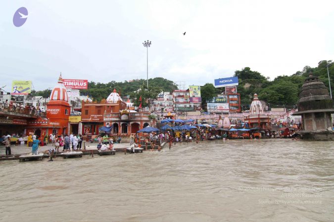 20140727 Photo 1138 1iynJolMoD u53y0y9KWgnV0QLNyfUGN5.JPG