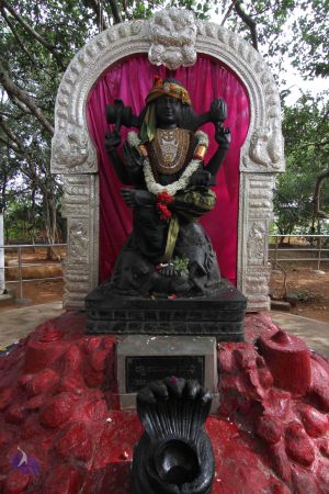 20140813 Photo 1014 14kKxQaDr1i7zGBZyIwNVjZhxhz8rsecI.JPG