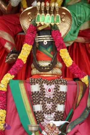 20140815 Photo 1014 1QBup2ZpcKnHlGUTsK3jUfPxLPgYpVlxC.JPG