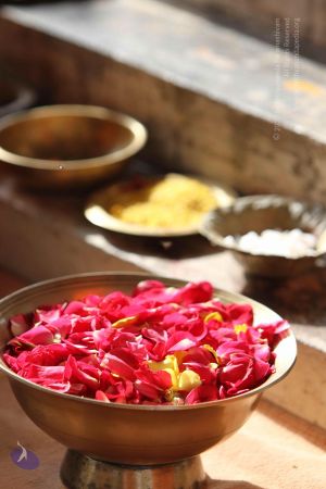 20140815 Photo 1040 1ajNCf7o8VYmlwmSCK FMSF123XoZ9LZN.JPG