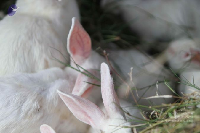 20140815 Photo 1111 1d -59XOhnB8EgRgWlg-eUPHA6u6uRmSR.JPG