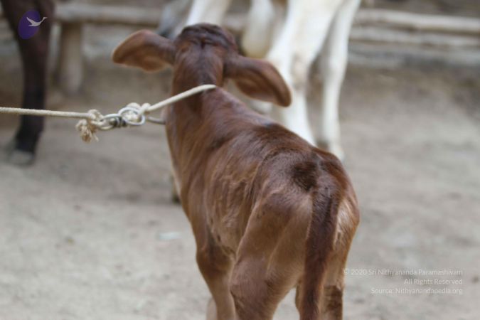 20140815 Photo 1125 1MezIjQNSPI8JUVS2iRqVSft2yPiTRLzb.JPG