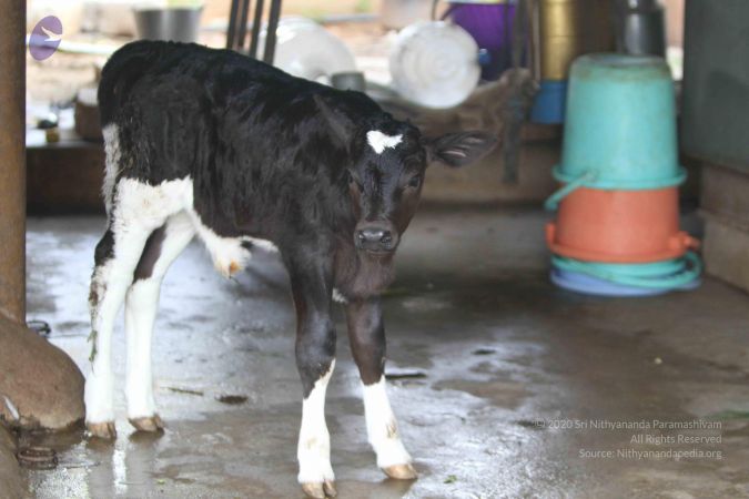 20140815 Photo 1129 19TRcFxOqd5U3uC0APbS4PAR GfzvuASX.JPG