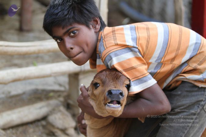 20140815 Photo 1147 12NKUNRSMZuDOgoxrwYuYMRYWcHRcIREe.JPG