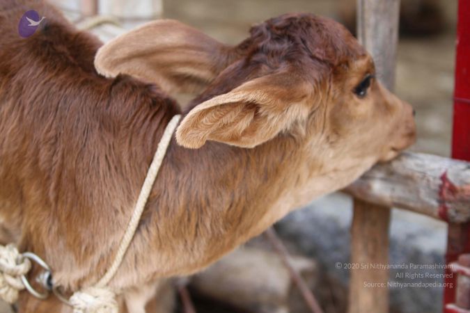 20140815 Photo 1151 19KGsEOx2PttQRens CgrAqSza88dS66-.JPG