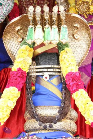 20140816 Photo 1006 1cT3HbXrnGNaTNX2lOaz9ks63YpEpP7ei.JPG