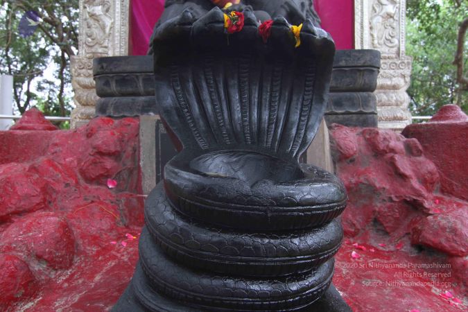 20140816 Photo 1009 1HRH9qK3mYQfKBFm6z8jbH9v8-fQ16WpS.JPG