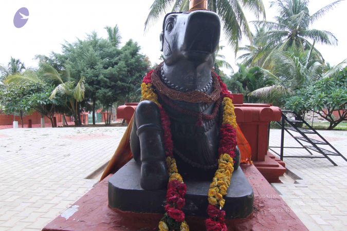 20140816 Photo 1011 1Ej hlLmIMydv-8dUNUMeODI4Po-y7h3R.JPG