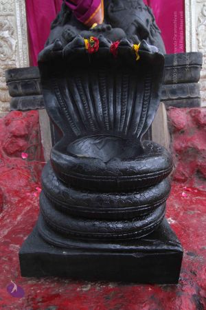 20140816 Photo 1023 1YUEGlzeFECGyY9WKB3CcbVhXUpsy9R48.JPG