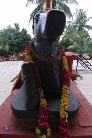 20140816 Photo 1026 1ASzy7lnCQHMADWj4K6vcLVnbCRJXeCsC.JPG