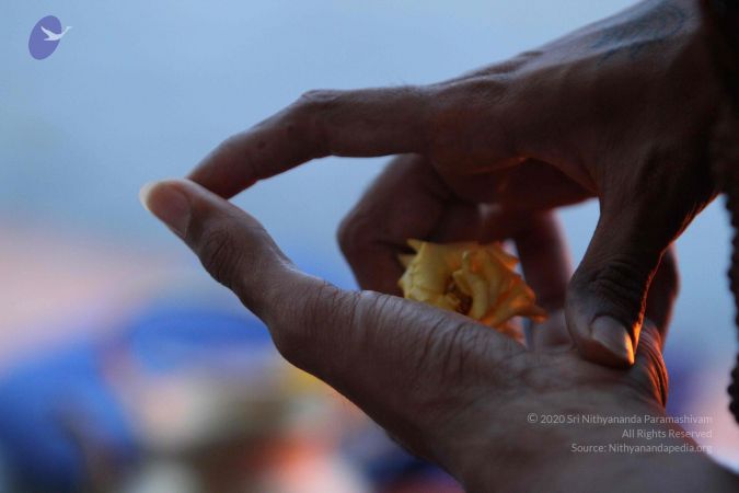 20140817 Photo 1643 1vRMewq7Ir8LV8f2raHYBU5XUt1eEXoSR.JPG