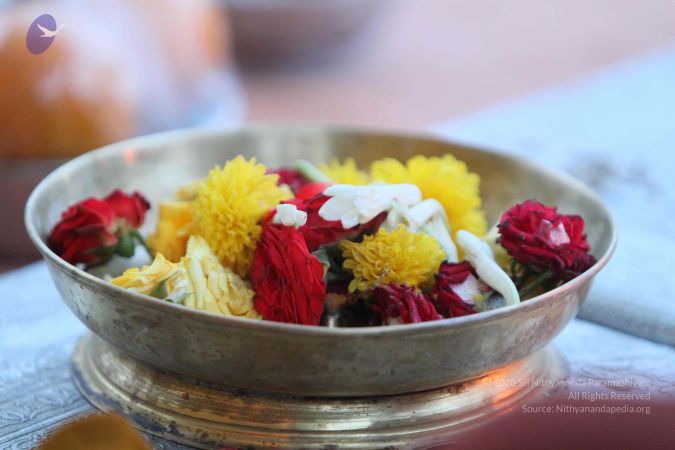 20140817 Photo 1645 1AwgiCKYJ-DDaH58xT4MJWo97gj3FE Wo.JPG